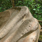 Detalle de la serpiente