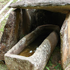 Sarc&oacute;fago