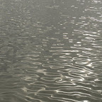 El mar El mar