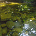La piscina natural La piscina natural