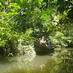 Viajeros del mangle Viajeros del mangle