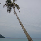 La Miel