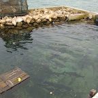 El acuario de pesca El acuario de pesca
