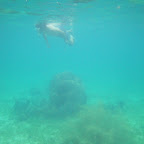 Nadando en la zona de coral de San Bernardo