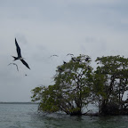 Isla Maravilla