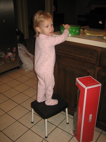 [20090103_0088[4].jpg]