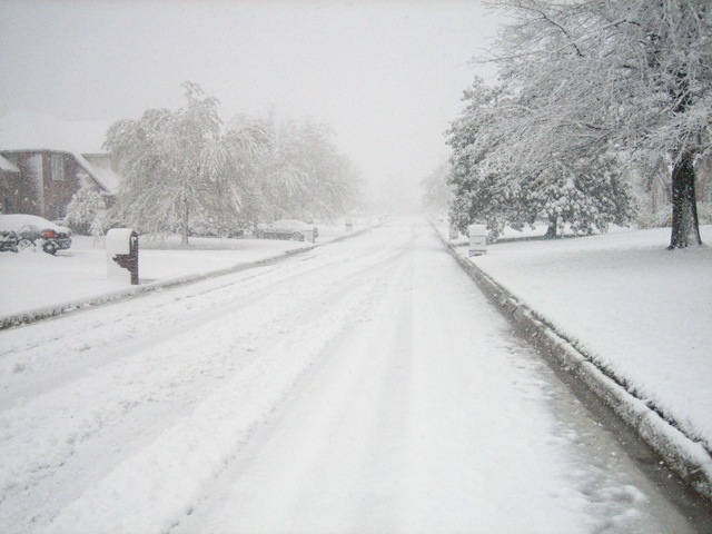 [20090328_0107[3].jpg]