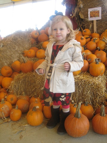 [20091011_0178[3].jpg]