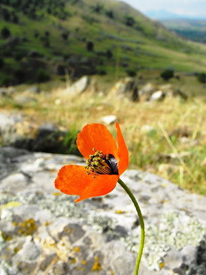Macin0 Munții Măcin