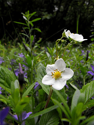 Macin9 Munții Măcin