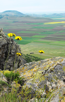 Macin14 Munții Măcin