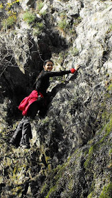 Macin%2031 Munții Măcinului