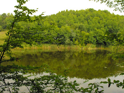 La pescuit. lacul