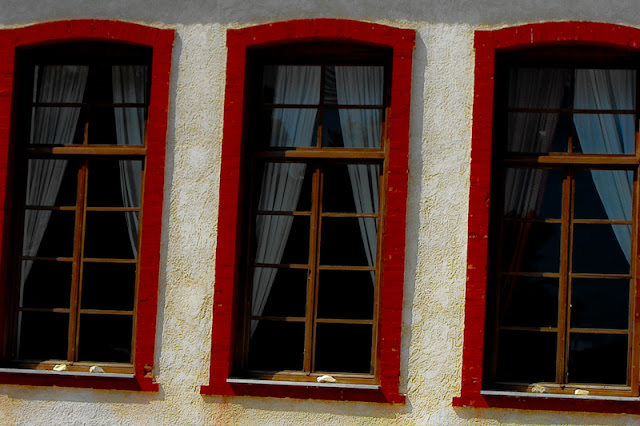 windows to the world - ferestre catre lume