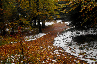 Bucegi%20 %20Prima%20zapada%20 %20 21 apus de soare, Cabana Miorita, ceata, Cota 2000, iarna, mare de nori, Muntii Bucegi, prima ninsoare, Sinaia, toamna, Valea Dorului, Varful cu Dor Bucegi. Miorita. Prima zapada.