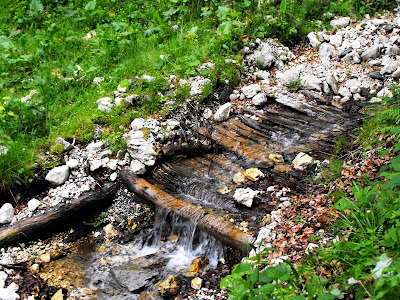 Piatra Craiului. Podet pe Vladusca