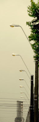 DSCF4023a dacă plouă