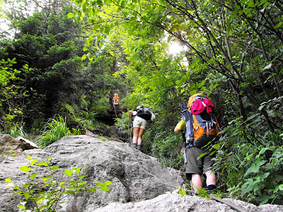 Urcand spre Cabana Cozia