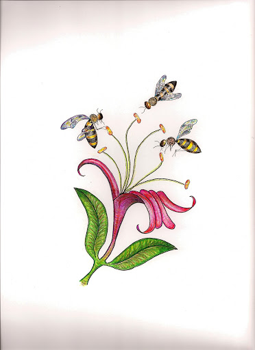 honey suckle tattoo design
