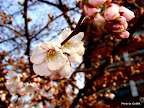 DSC00185.JPG