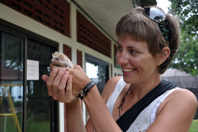 Случайности неслучайны