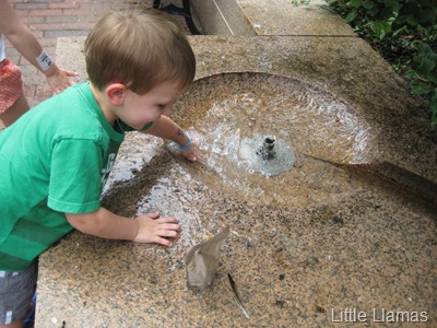 [IMG_23312.jpg]