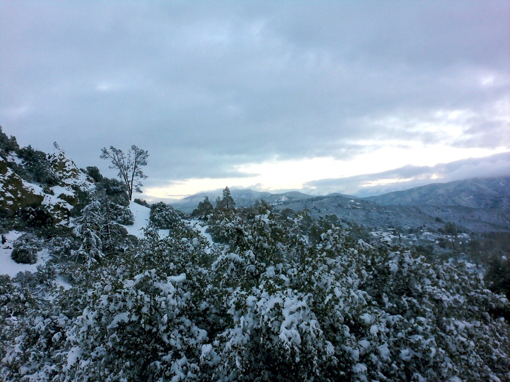 [Photo0076.jpg]