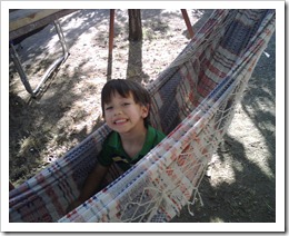 IMG00919 IMG00919