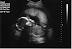 Baby gray.jpg