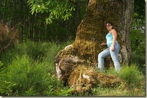 IMG_5721 IMG_5721