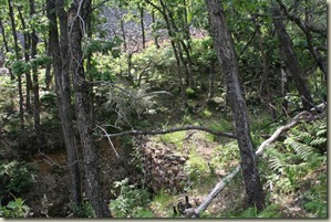 IMG_5752 IMG_5752