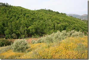 IMG_5712 IMG_5712