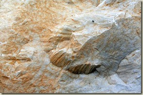 IMG_5794 IMG_5794