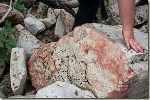 IMG_5965 IMG_5965