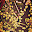 DSCN9206.JPG
