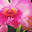 DSCN9210.JPG