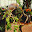 DSCN9213.JPG