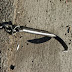 I mean, seriously, shit! How do you let this fall off your truck.