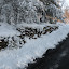 New Photos_1928.JPG