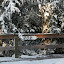 New Photos_1951.JPG