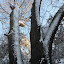 New Photos_1956.JPG