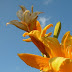 DSCN4617.jpg