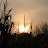 2008 Corn Maze at sunset