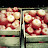 2009 Here's the apples we picked to send out to my family
