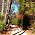 DSCN2385.JPG