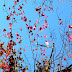 DSCN2391.JPG