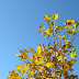 DSCN2403.JPG