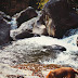 DSCN2913.JPG