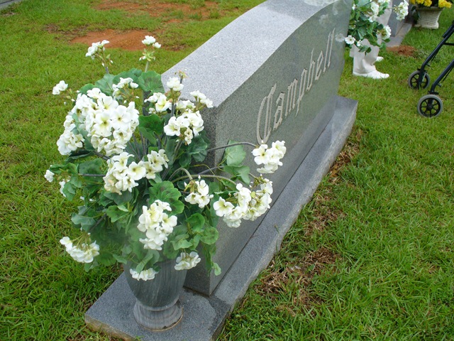 [2009PT2.jpg]