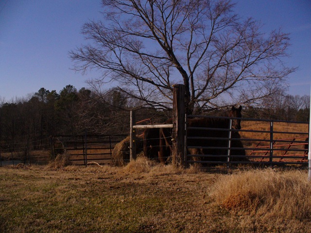 [Granddaddyshomeplace0862.jpg]